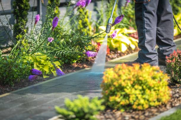 Best Gutter Cleaning  in Hartford, MI